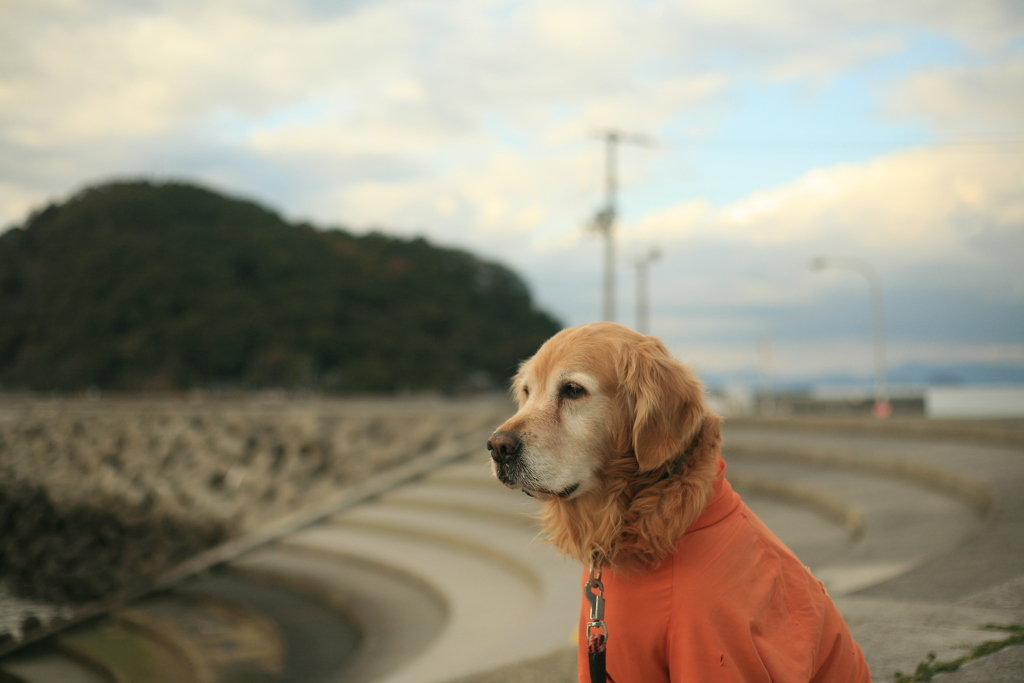 みゅうちゃんと鹿島