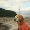 みゅうちゃんと鹿島