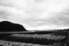 毎度毎度同じもの写してると