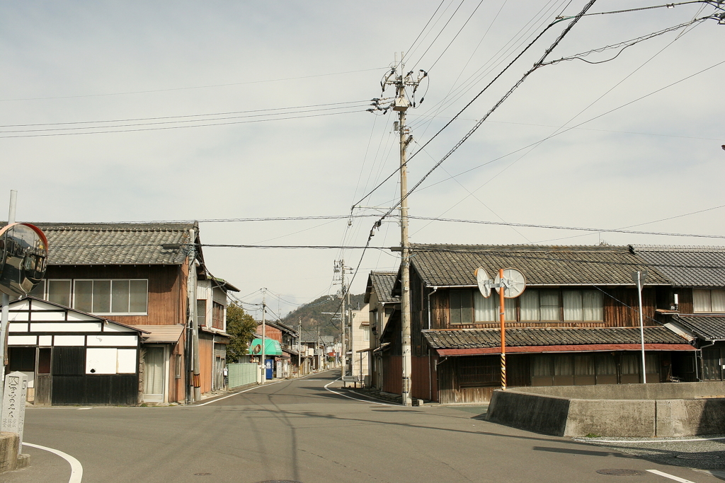 Eos20Dを持ち出す　３