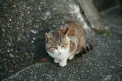 朝＠2019-04-08