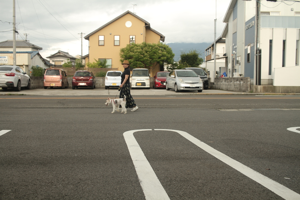 お母さんと散歩してるアビィちゃん