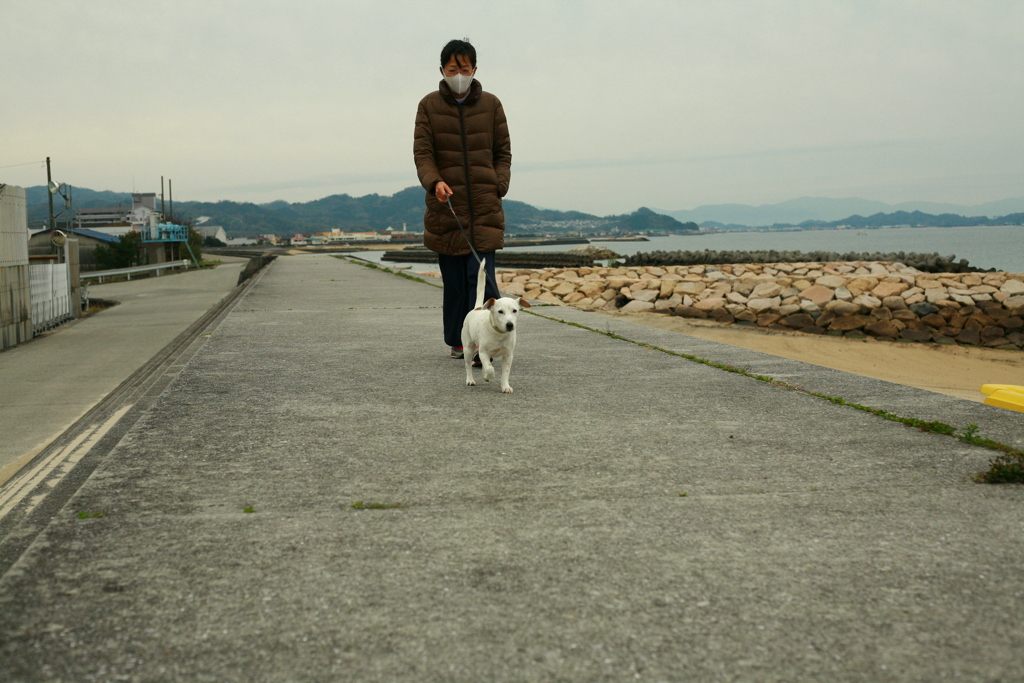 散歩してるククルさん