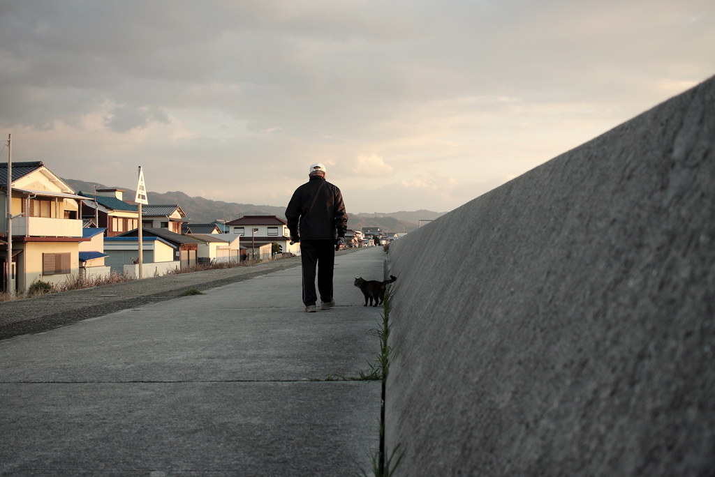 2017-02-06 カラー　５