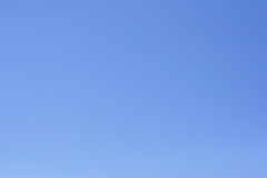 君にはヘリが見えるか！？