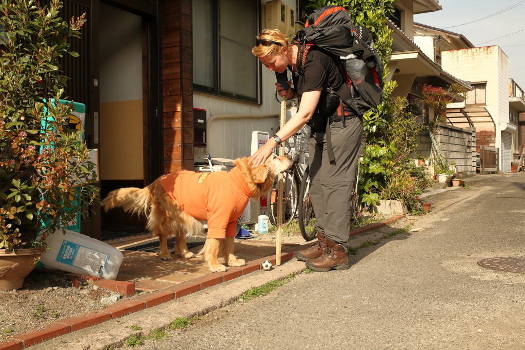 ガンマ調整したらやっぱ色味のバランスが良くなるな
