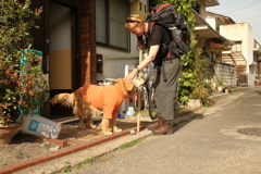 ガンマ調整したらやっぱ色味のバランスが良くなるな