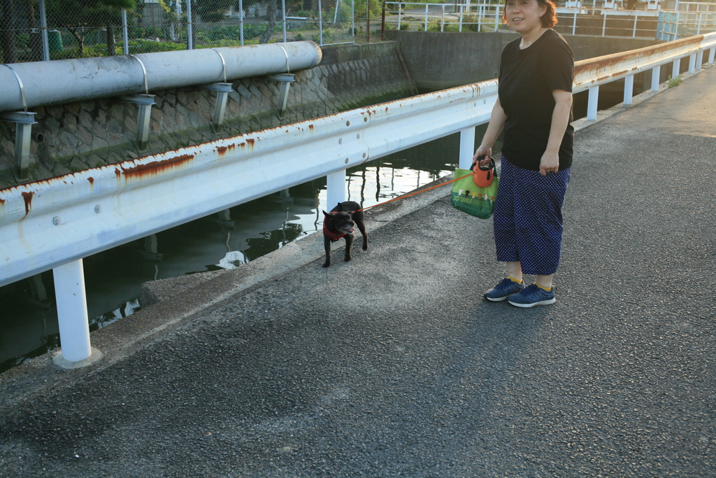 散歩してるチロルとお母さん