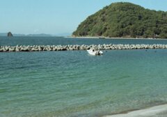 ロモ　カラーネガ100