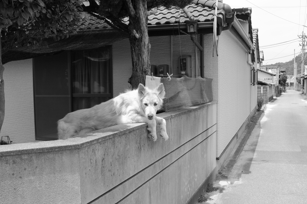 表はまだ適度に涼しい