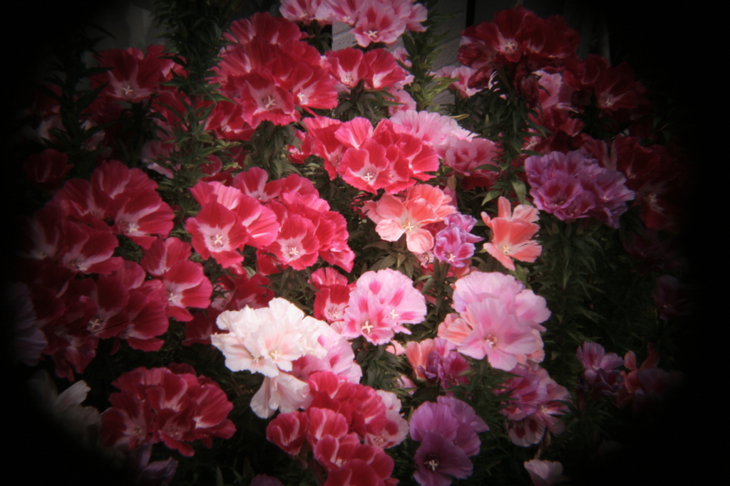 ホルガのトイレンズにて