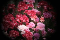 ホルガのトイレンズにて