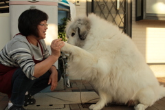イェイが決まってるココさん