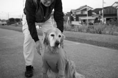いずみさんに甘えるみゅうちゃん