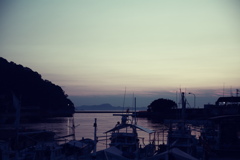 IMG_4895 aaa