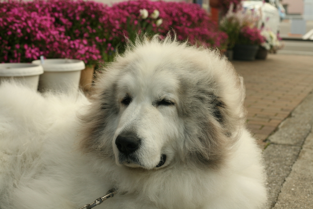 ぽかぽか陽気＠2019-04-11