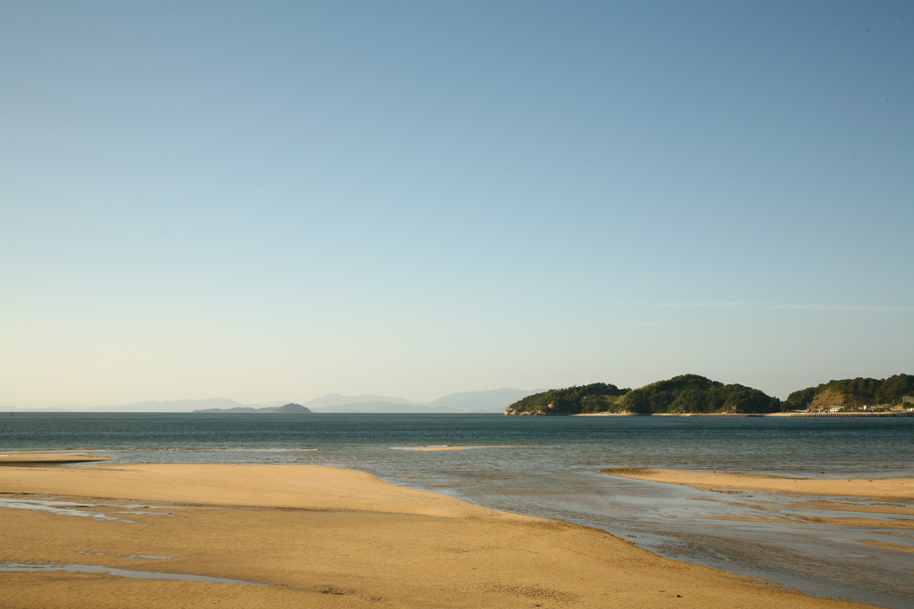 今日もいつもどおり
