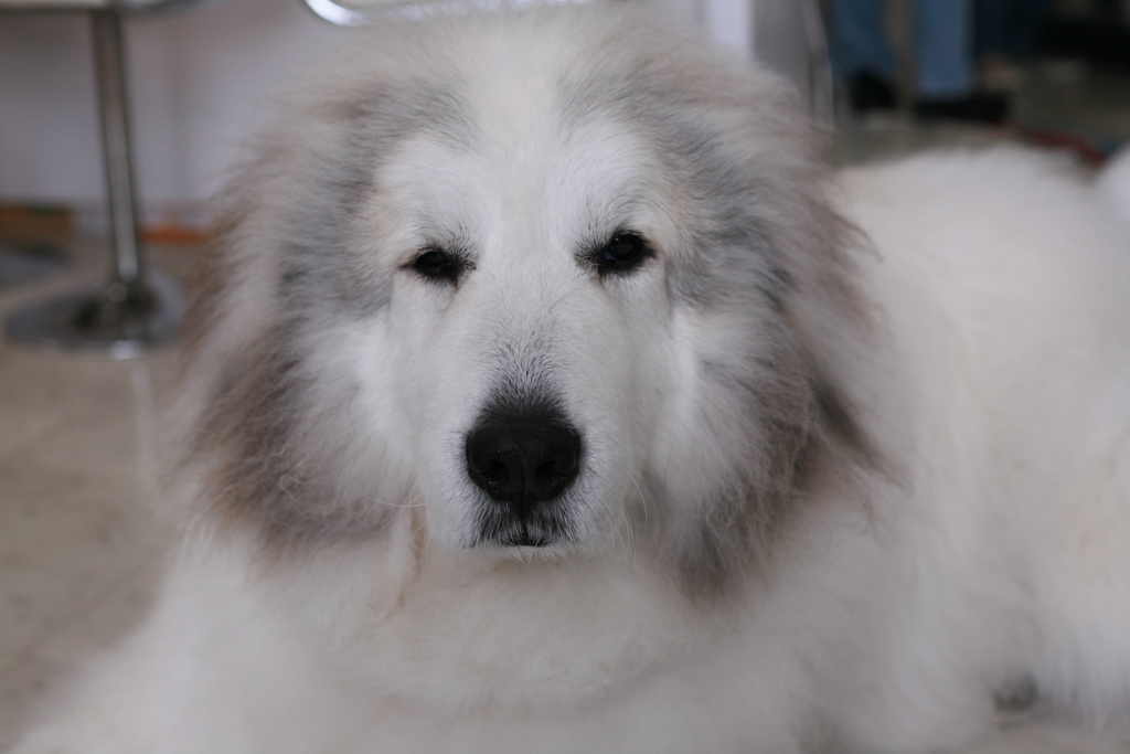 月曜朝のココさん