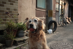 営業本部長みゅうちゃん