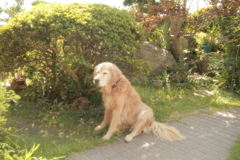 お宿番してるみゅうちゃん