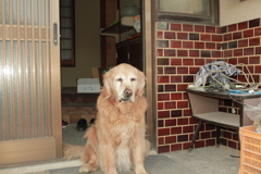 新しい場所でのみゅうちゃん