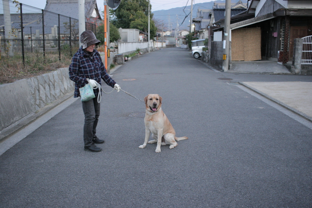 とびかかって来る前のサーブ
