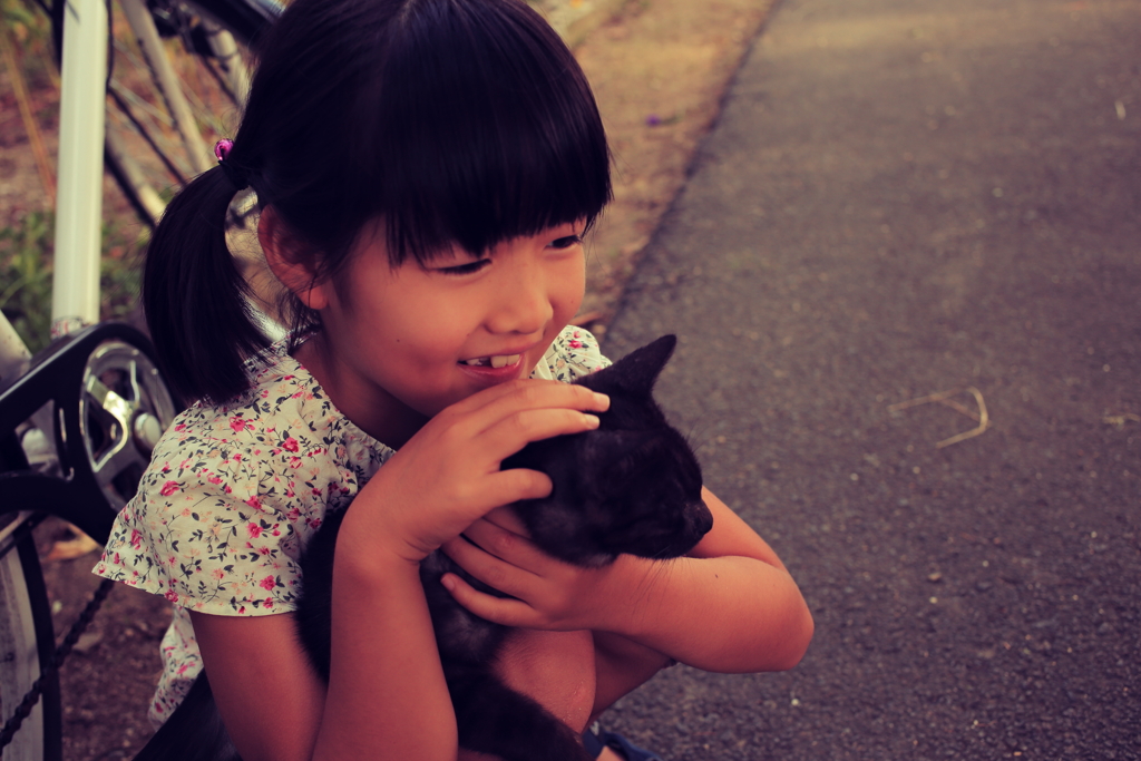 猫飼いたい、でも飼えないの