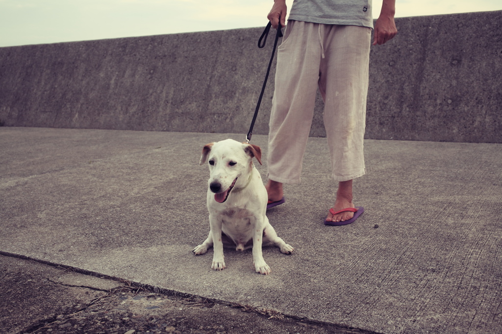 kruru taking a rest while their walk 