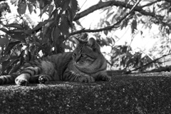 レンズの違いもあるんだろうけど、フルサイズって写りますな　!(^^)!