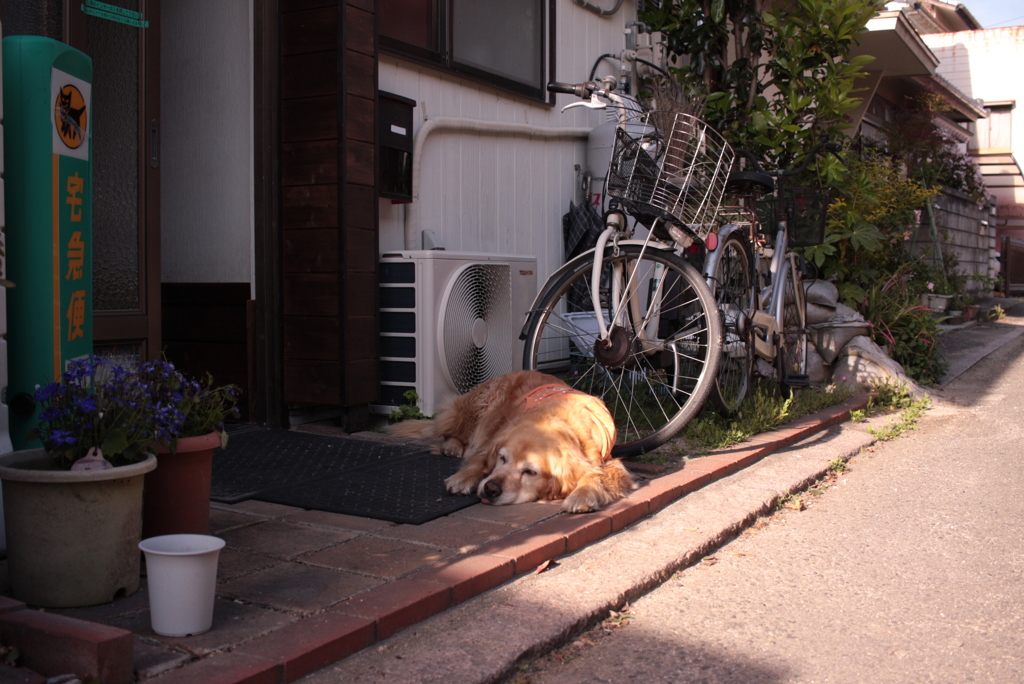 みゅうちゃん＠北条水軍ユースホステル