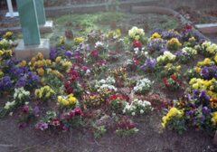 Trip35にて近所写真