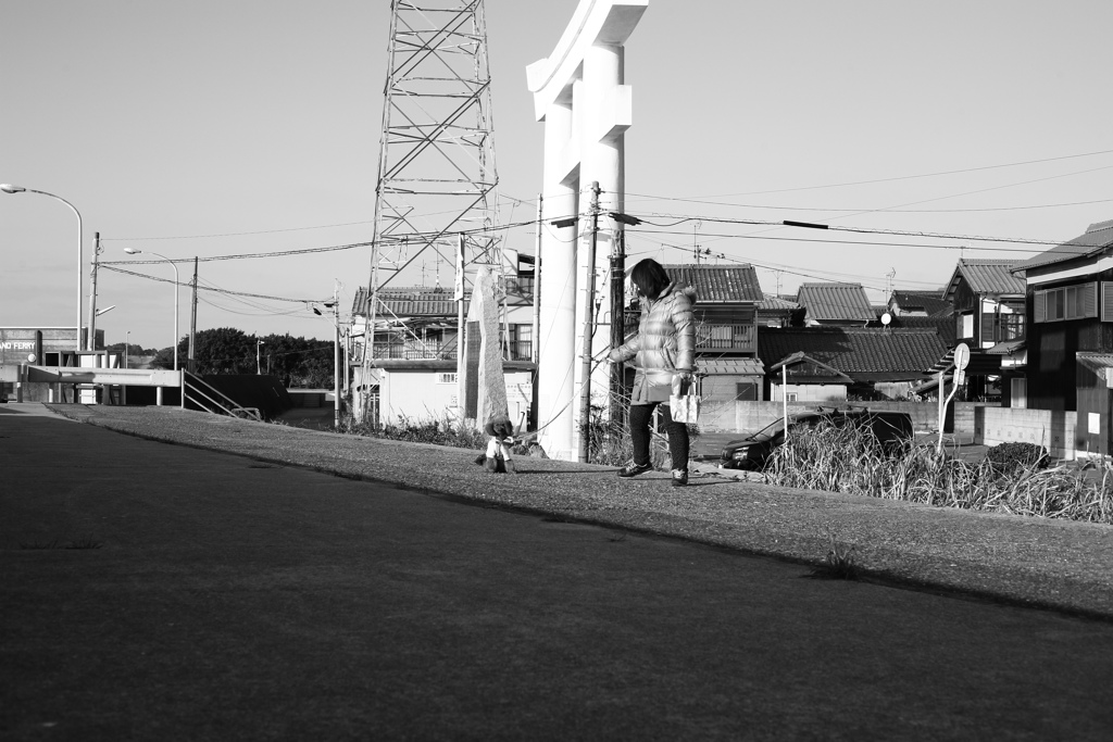 モノクロ＠2019-01-29