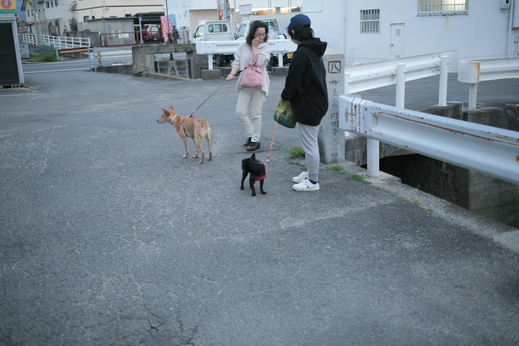 お母さんたちとチロルとマリリン