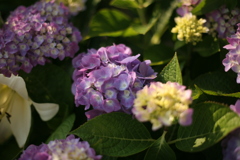 ＠2019-06-10