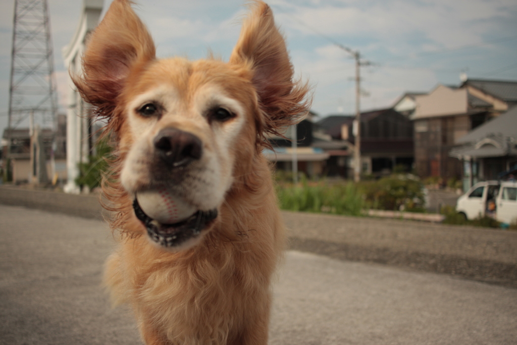 ナイスキャッチなみゅうちゃん
