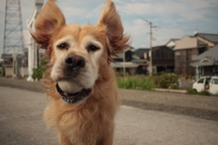 ナイスキャッチなみゅうちゃん