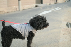 半年ぶりくらいのソウちゃん