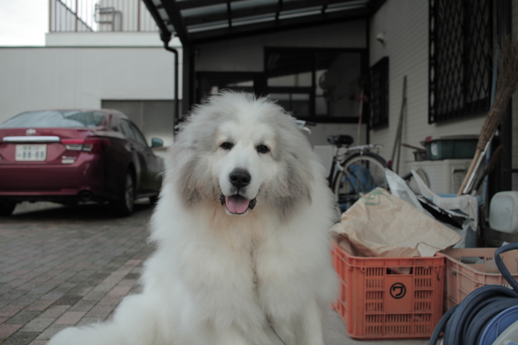 避難勧告くらいじゃだれも避難してない