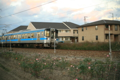 松山行の下り電車