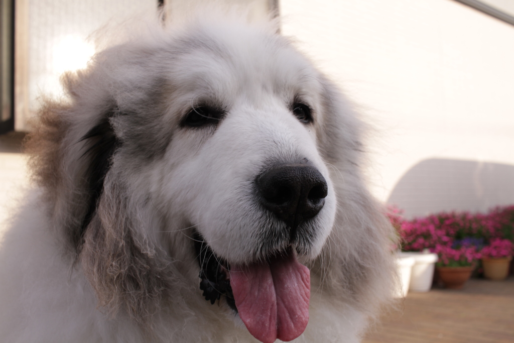 春日和＠2019-03-20