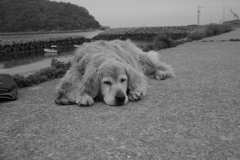 モノクロ＠2020‐06‐03