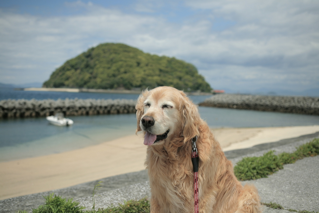 お昼、みゅうちゃんと散歩