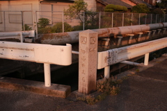 イミフ系朝写真