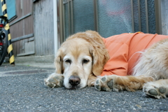 みゅうちゃんローアングル