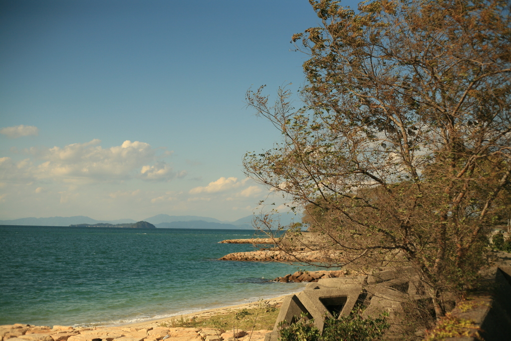 青い海、青い空