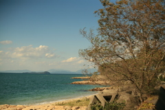 青い海、青い空