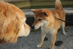 ＠2020‐06‐04