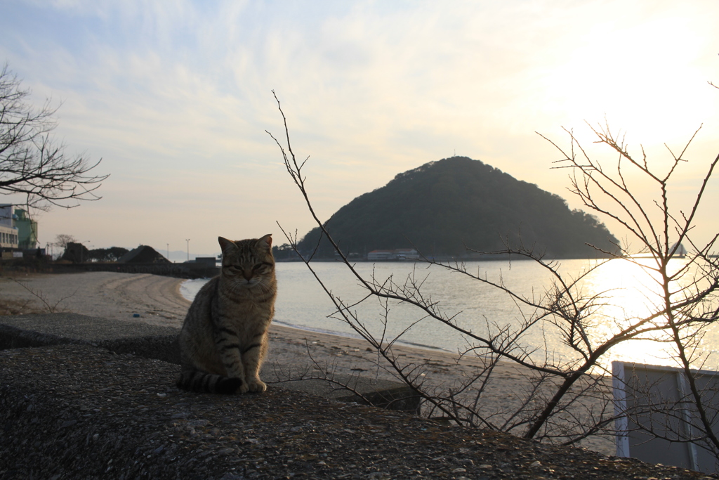 @2018-02-09 けっこうあったかい