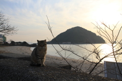 @2018-02-09 けっこうあったかい