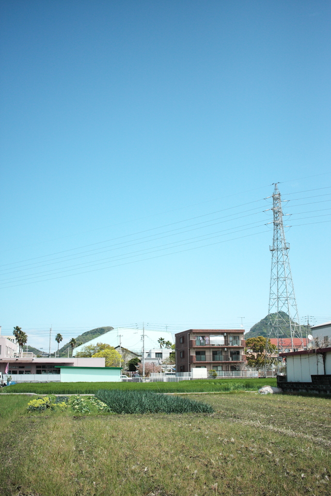 春の朝＠2017-04-18